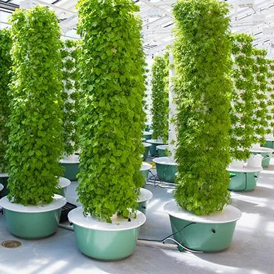 Hydroponic Tower Garden - Aeroponics Towers Garden Systems With Lights