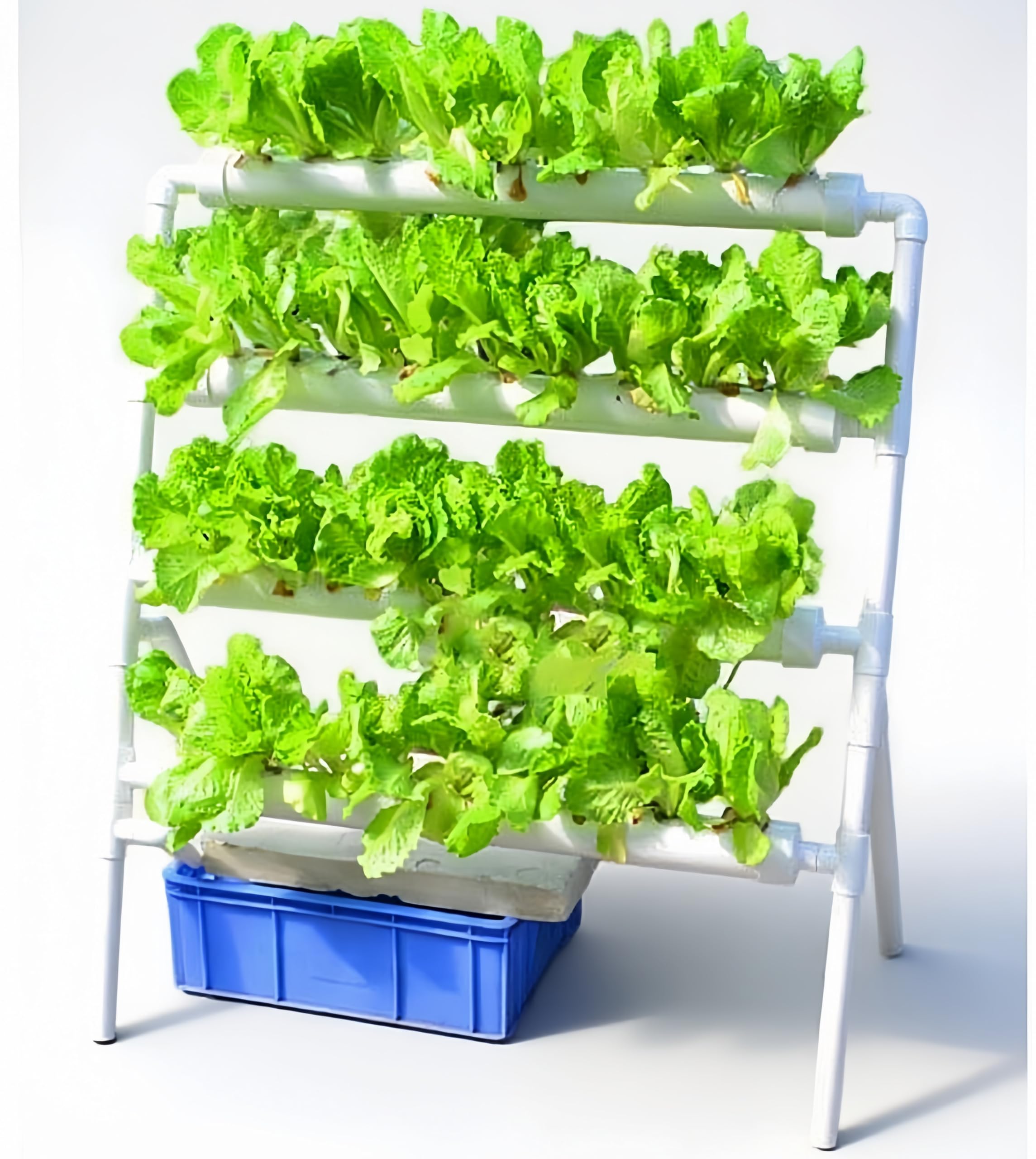 Hydroponic Growing System 36 Site - Hydroponics Growing System 36 Plant Sites