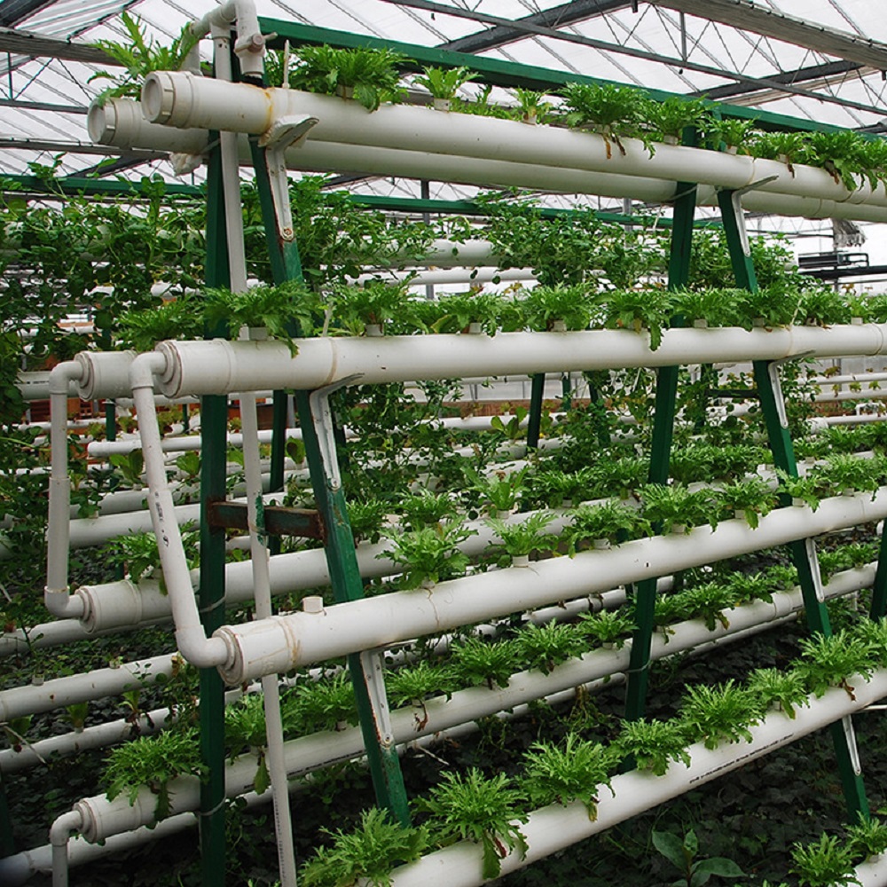 Manufacturer Soilless Cultivat - đánh giá và giá Hydroponic Tower Garden
