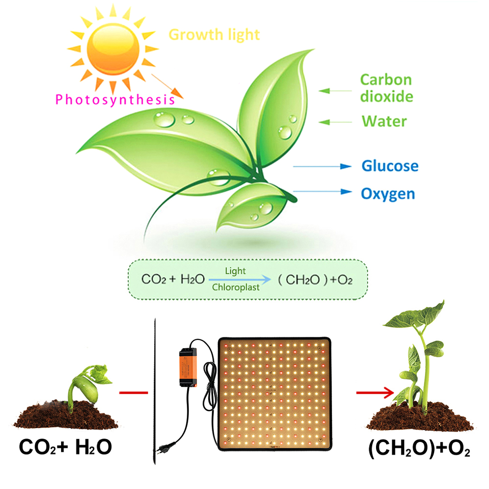 1000W Grow Light Panel LED Pla - đánh giá và giá Led Grow Light 1000W Full Spectrum