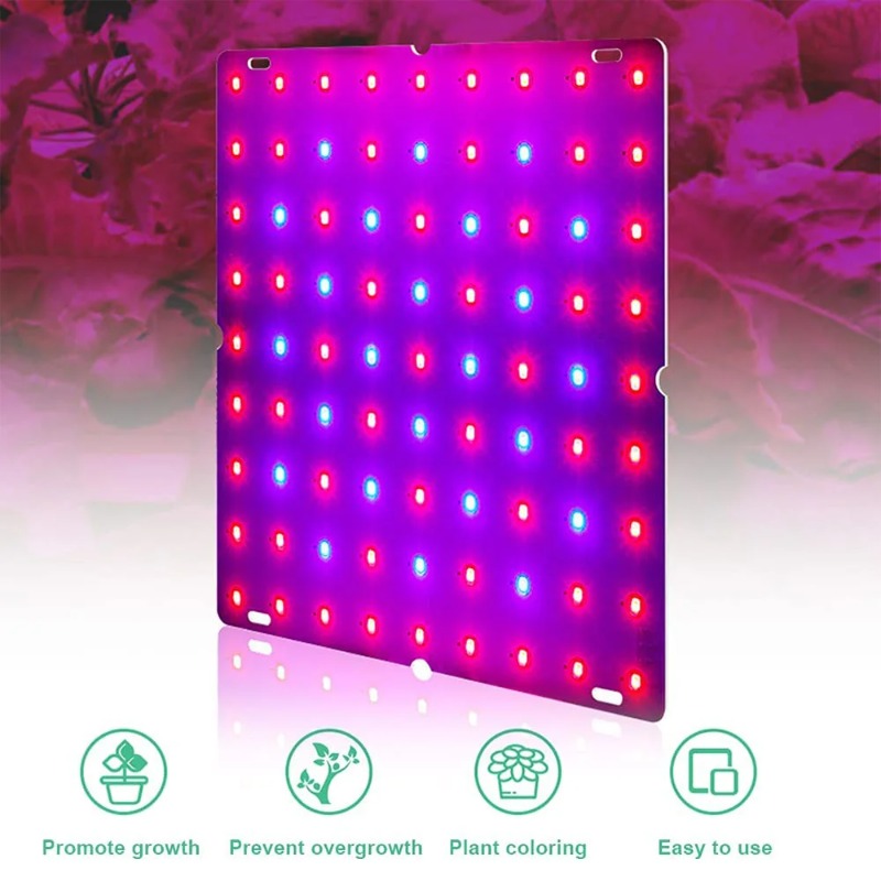 LED Plant Grow Light 1000W/200 - đánh giá và giá Led Grow Light 1000W Full Spectrum