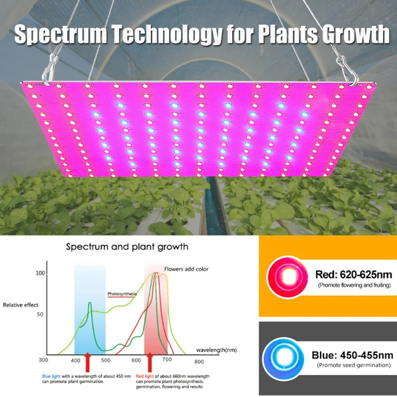 LED Plant Grow Light 1000W/200 - đánh giá và giá Led Grow Light 1000W Full Spectrum