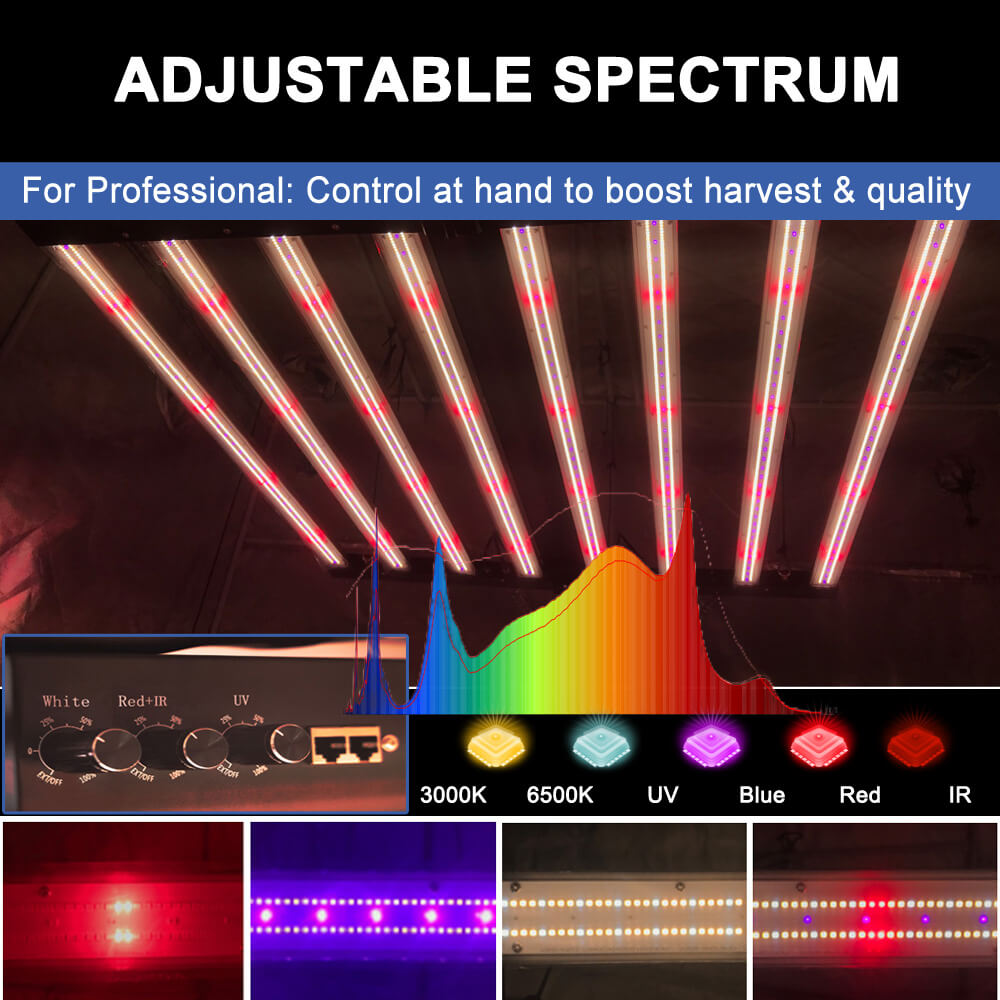 US Stock PPFD 2800 Umol/S Led  - đánh giá và giá Led Grow Light 1000W Full Spectrum