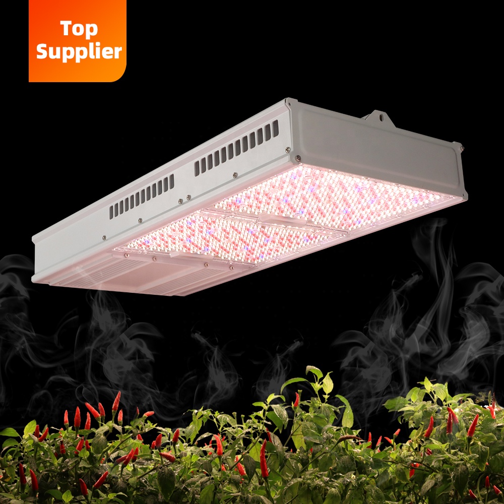 Cost-Effective 600W 800W Topli - đánh giá và giá Led Grow Light 1000W Full Spectrum
