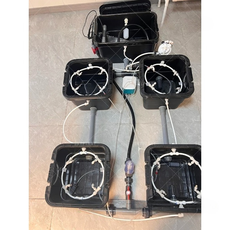 5 Gallon Dutch Bucket Hydropon - đánh giá và giá Dwc Bucket System 5 Gallon