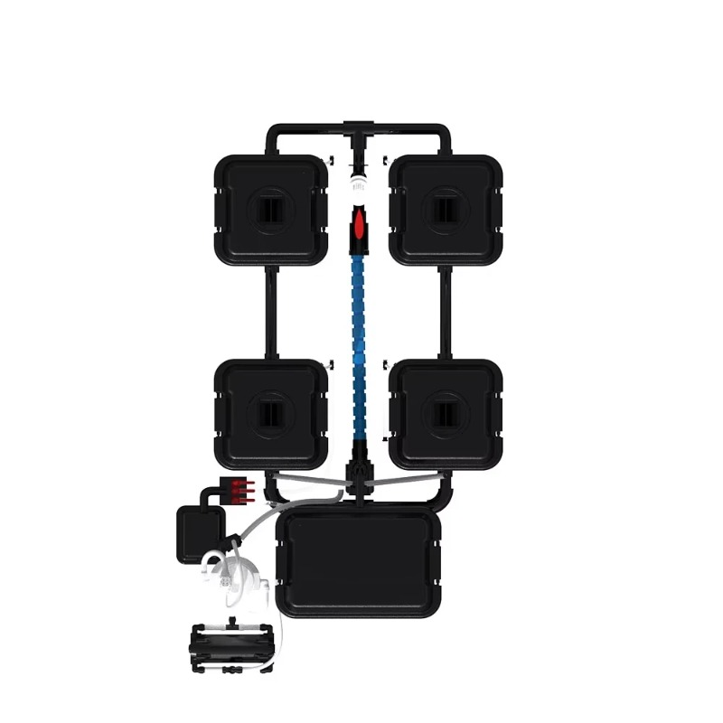 5 Gallon Dutch Bucket Hydropon - đánh giá và giá Dwc Bucket System 5 Gallon