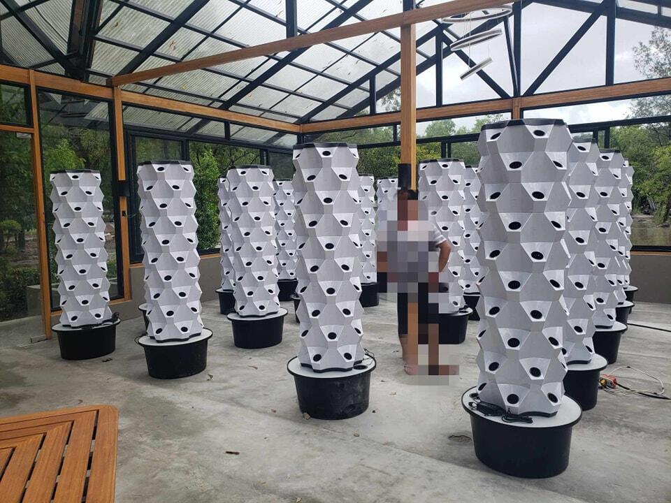 Greenhouse Vertical Farming Hy - đánh giá và giá Hydroponic Tower Garden
