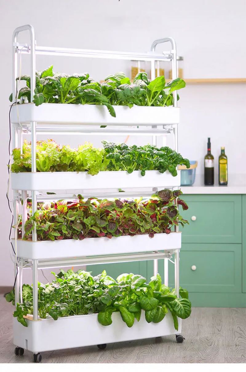 Home Use Vertical Hydroponic T - đánh giá và giá Hydroponic Tower Garden