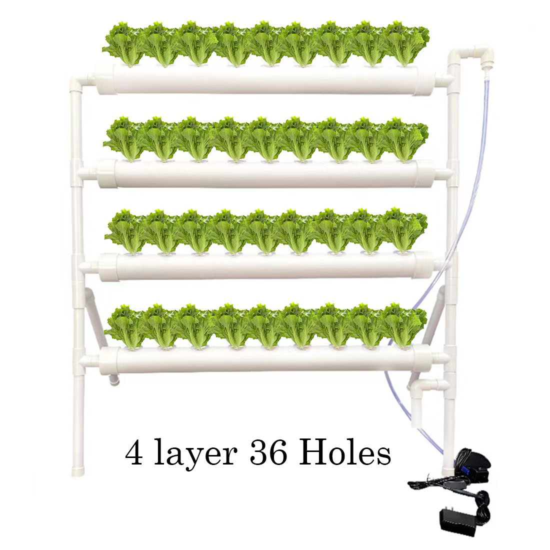 36 Các Di Vật Có Hoa Thủy Canh - đánh giá và giá Hydroponic Growing System 36 Site