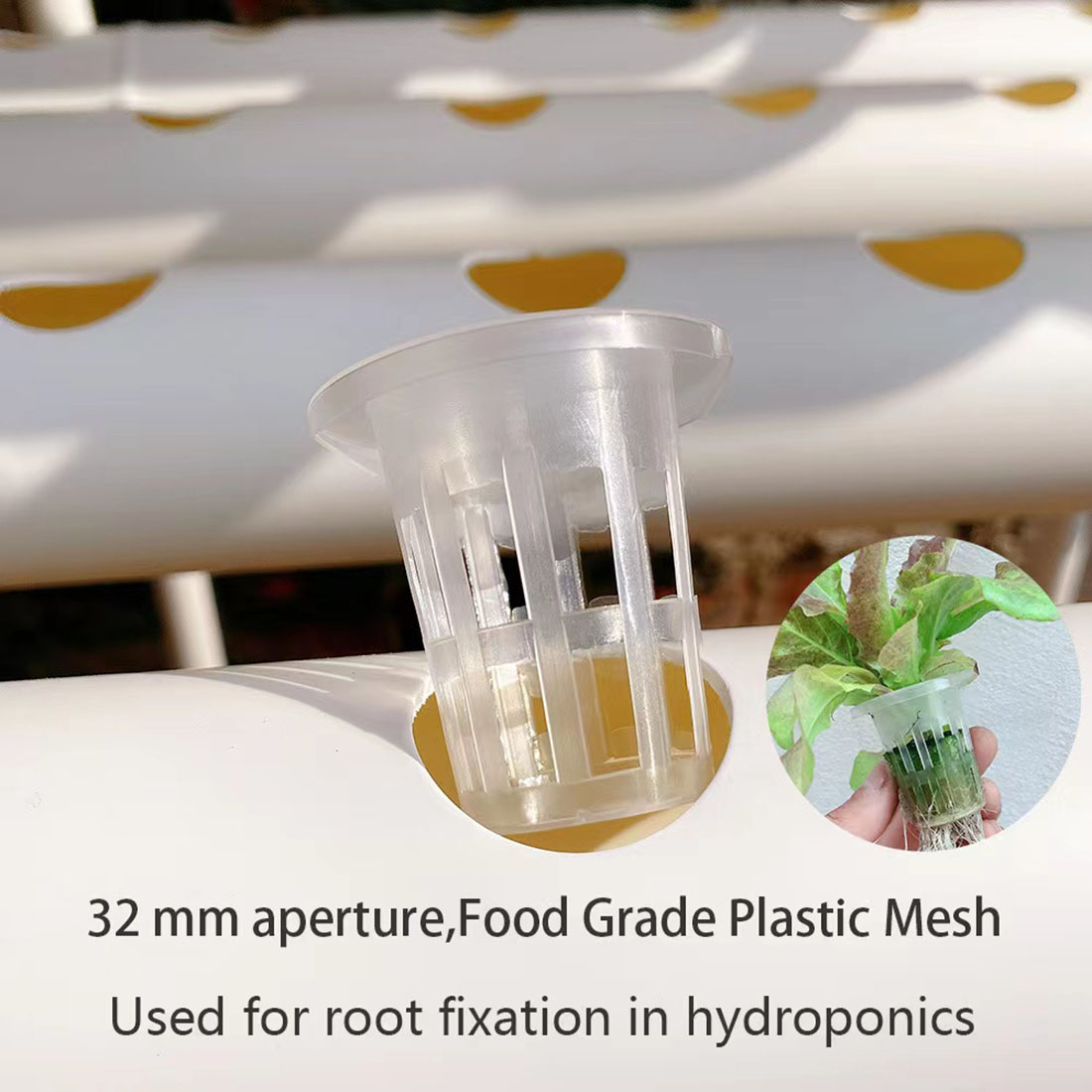 36 Các Di Vật Có Hoa Thủy Canh - đánh giá và giá Hydroponic Growing System 36 Site