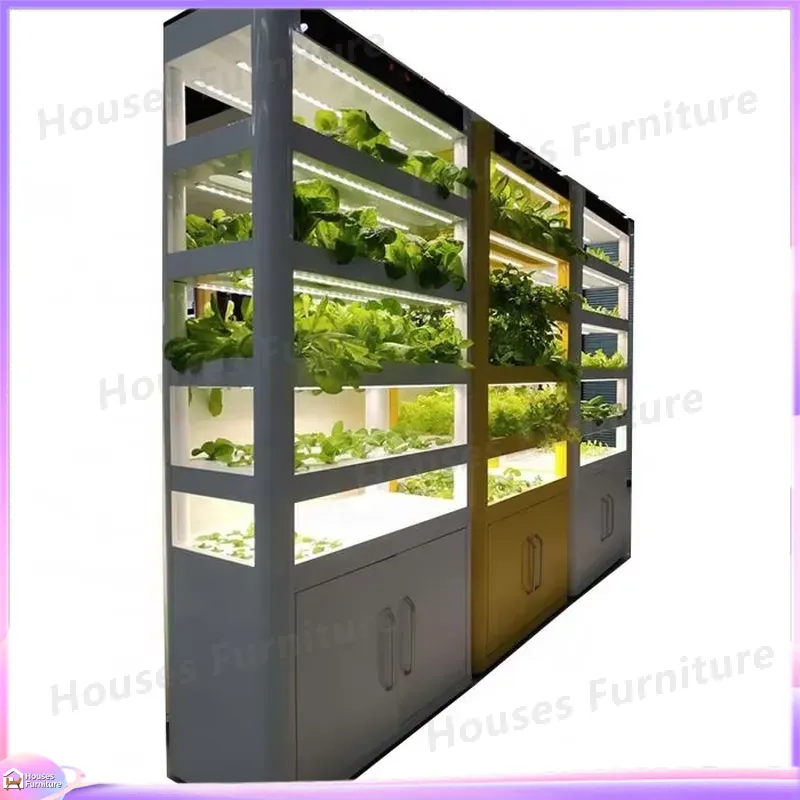 Automatic Hydroponics System E - đánh giá và giá Deep Water Culture Kit