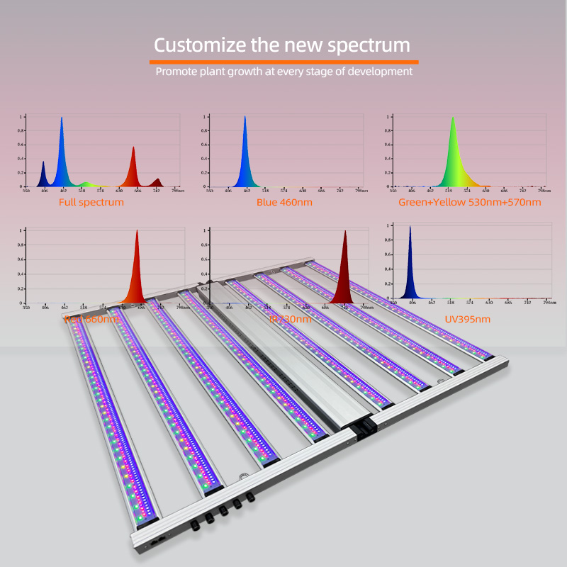 Horticultural Five-way Dim LM3 - đánh giá và giá Led Grow Light 1000W Full Spectrum