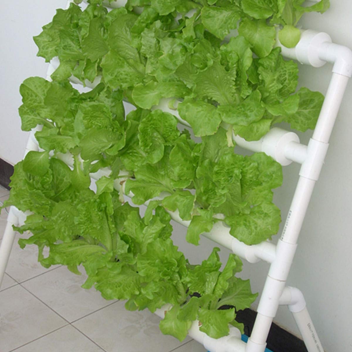 Hydroponics Growing System 36  - đánh giá và giá Hydroponic Growing System 36 Site