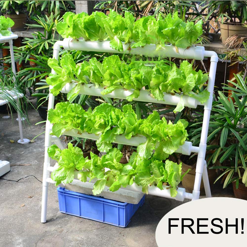 Hydroponics Growing System 36  - đánh giá và giá Hydroponic Growing System 36 Site