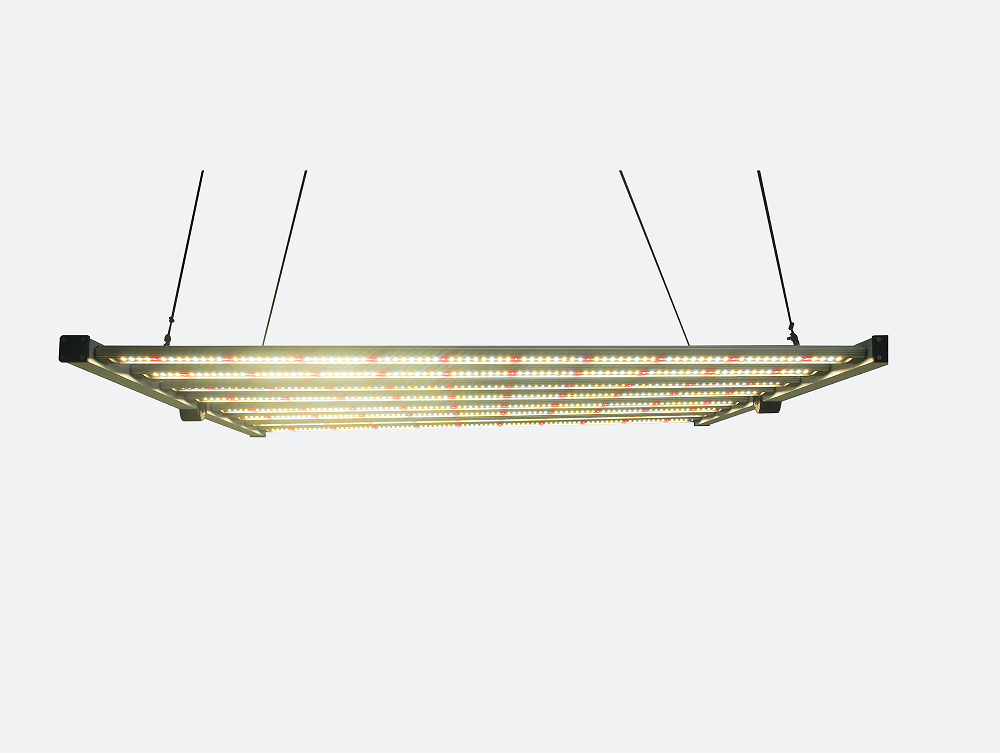 Horticulture Greenhouse Hydrop - đánh giá và giá Led Grow Light 1000W Full Spectrum