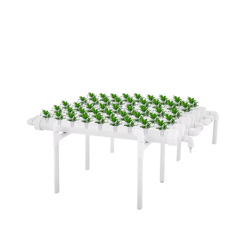 54 Lỗ Thủy Canh Đường Ống Tran - đánh giá và giá Deep Water Culture Kit