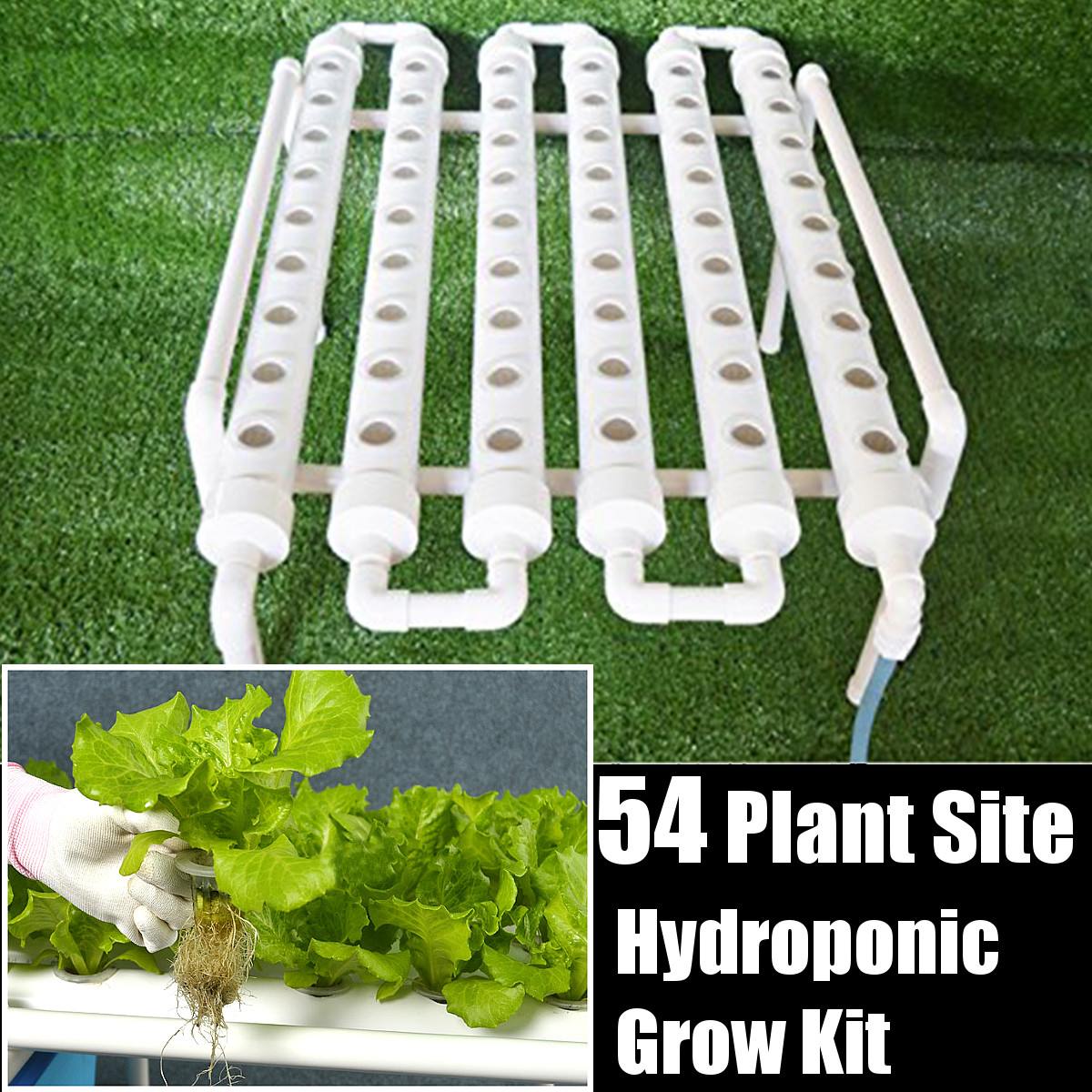 54 Lỗ Thủy Canh Đường Ống Tran - đánh giá và giá Deep Water Culture Kit