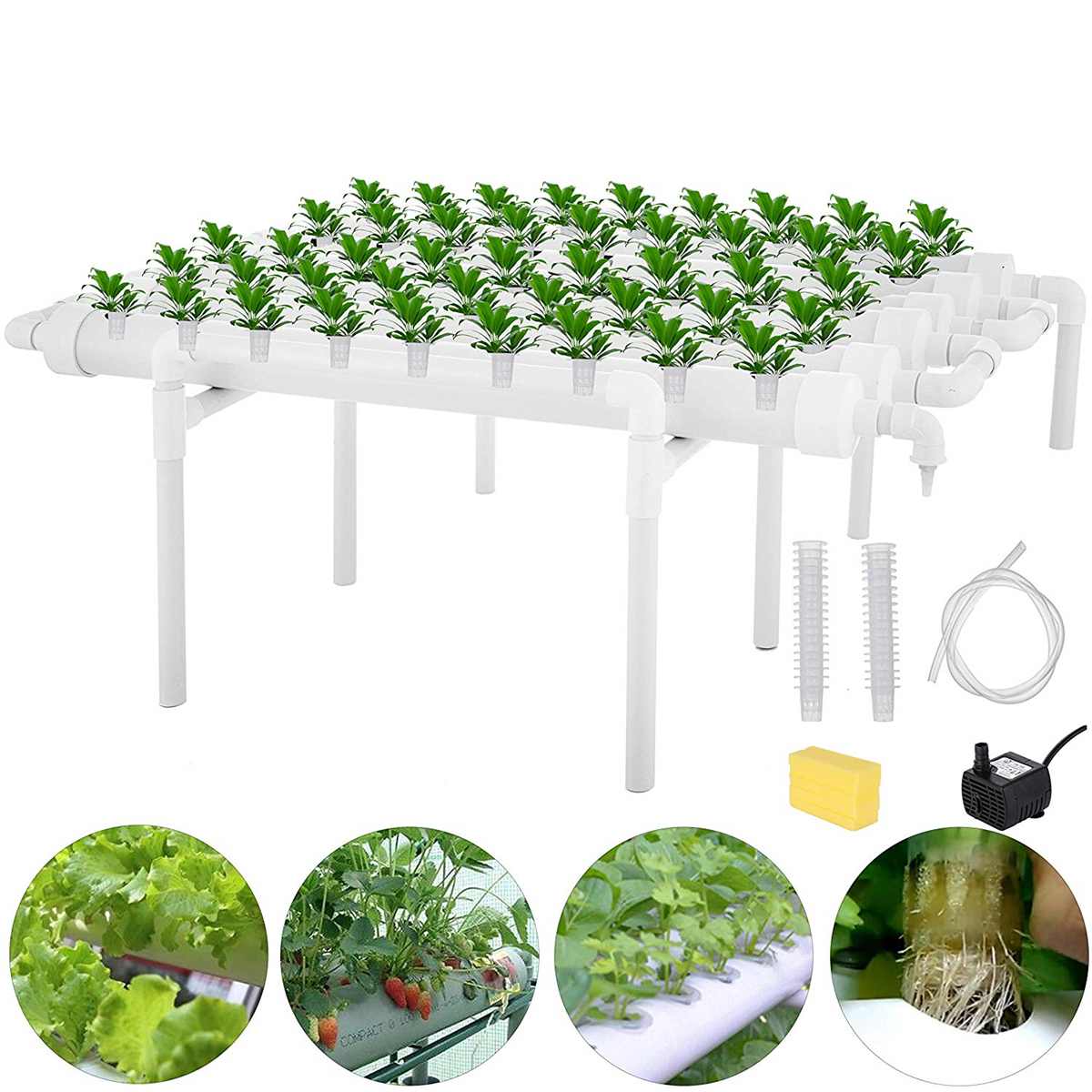 54 Lỗ Thủy Canh Đường Ống Tran - đánh giá và giá Deep Water Culture Kit