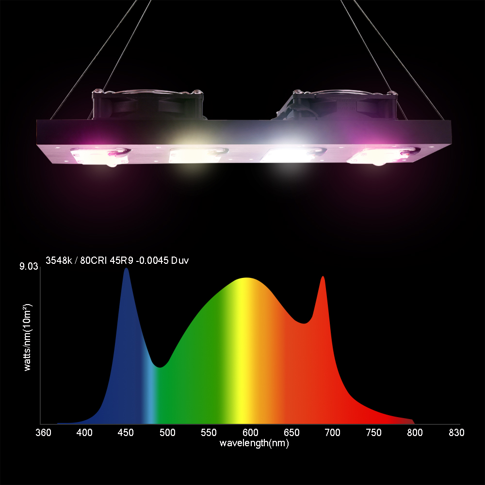 LED Plant Grow Light 1000W/200 - đánh giá và giá Led Grow Light 1000W Full Spectrum