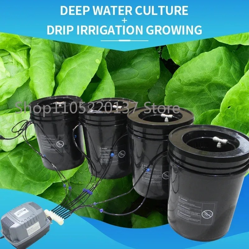 DWC Recirculating Drip Hydropo - đánh giá và giá Dwc Bucket System 5 Gallon