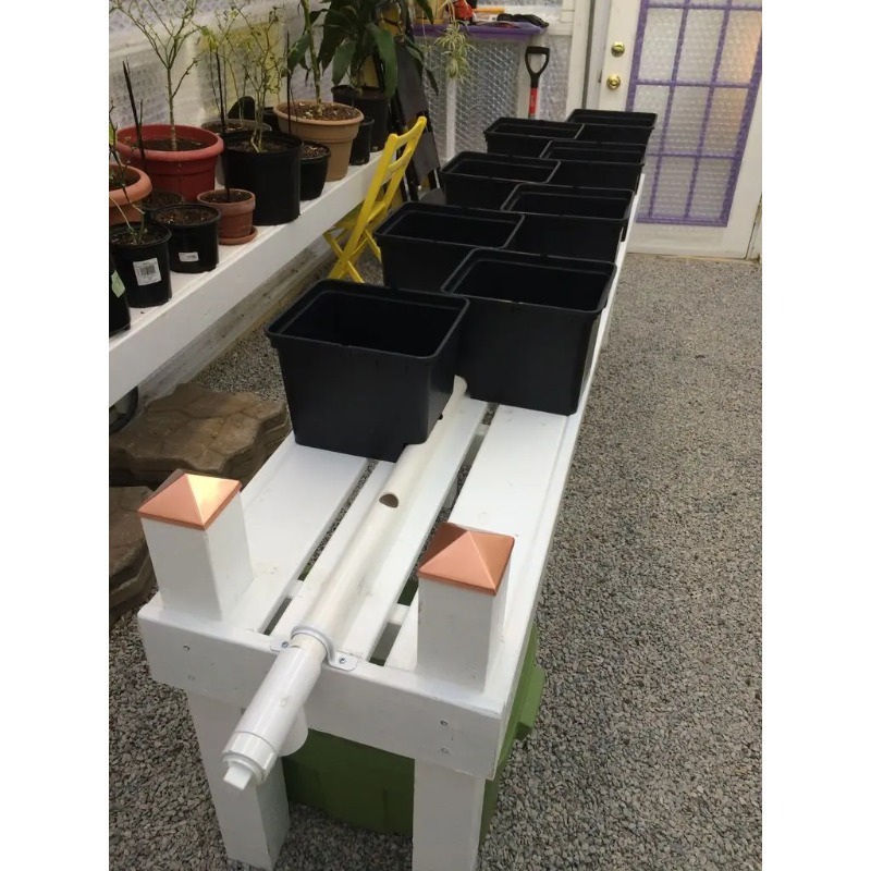 Automatic Garden Irrigation Sy - đánh giá và giá Dwc Bucket System 5 Gallon