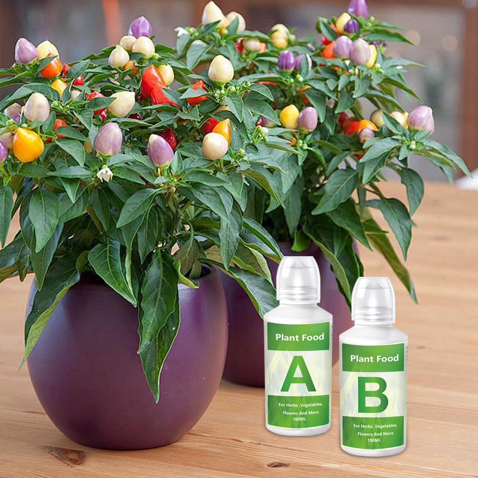 Hydroponic Plant Fertilizer Gr - đánh giá và giá Hydroponic Nutrient A B Set