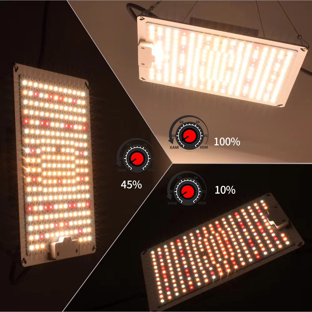 Full Spectrum QBC 1000W 281B D - đánh giá và giá Led Grow Light 1000W Full Spectrum