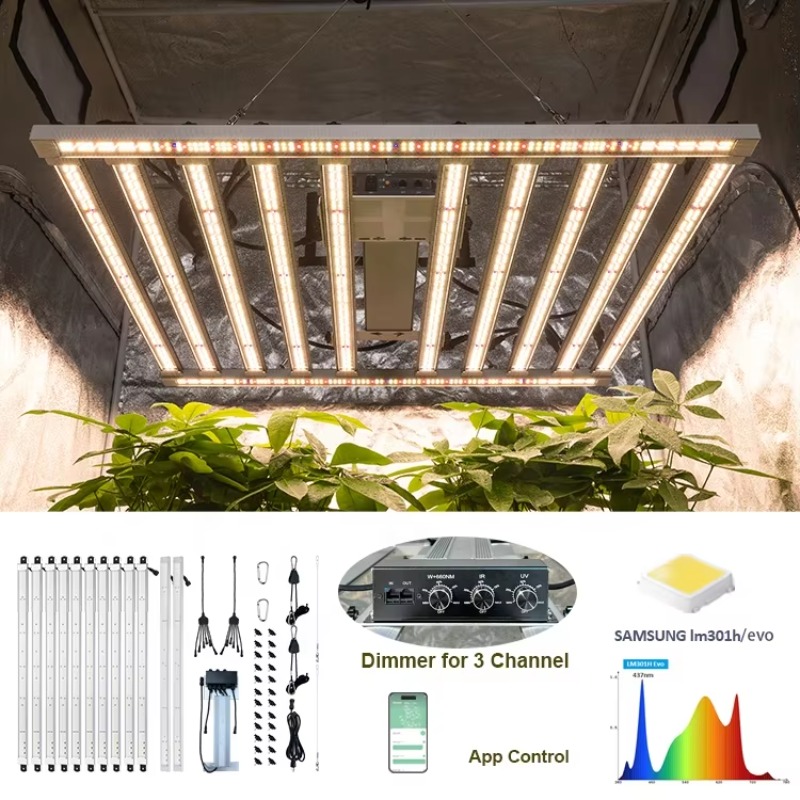 4x4 Growing Tent Complete Kit  - đánh giá và giá Carbon Filter Grow 6 Inch