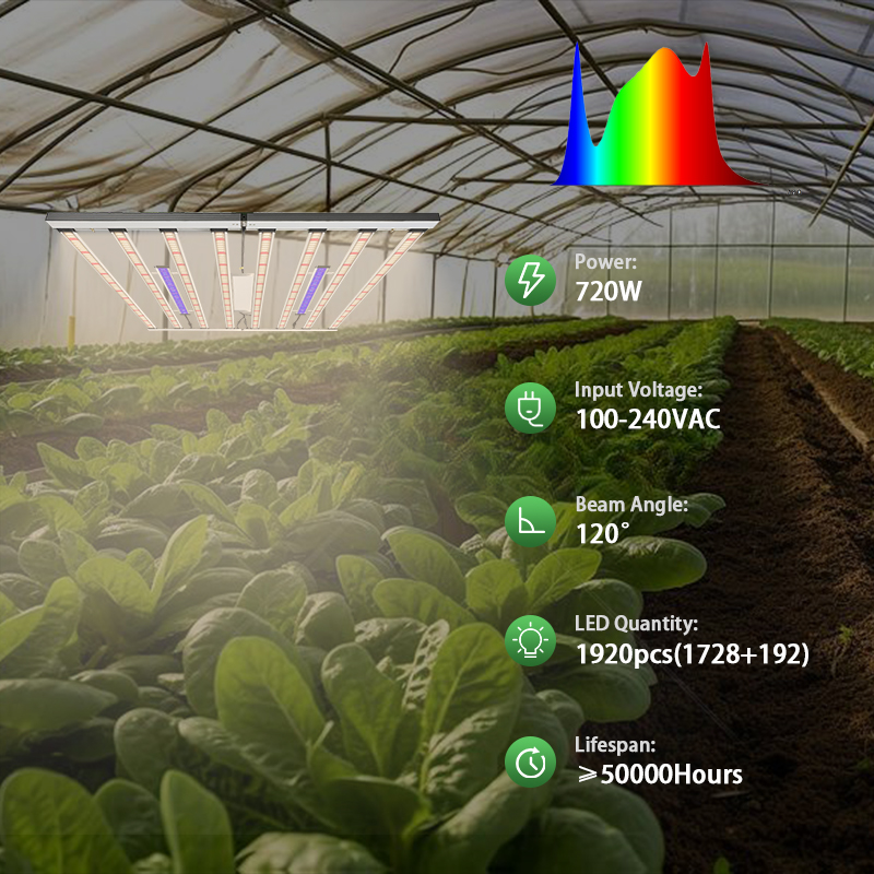 1000W LED Grow Light Full Spec - đánh giá và giá Led Grow Light 1000W Full Spectrum