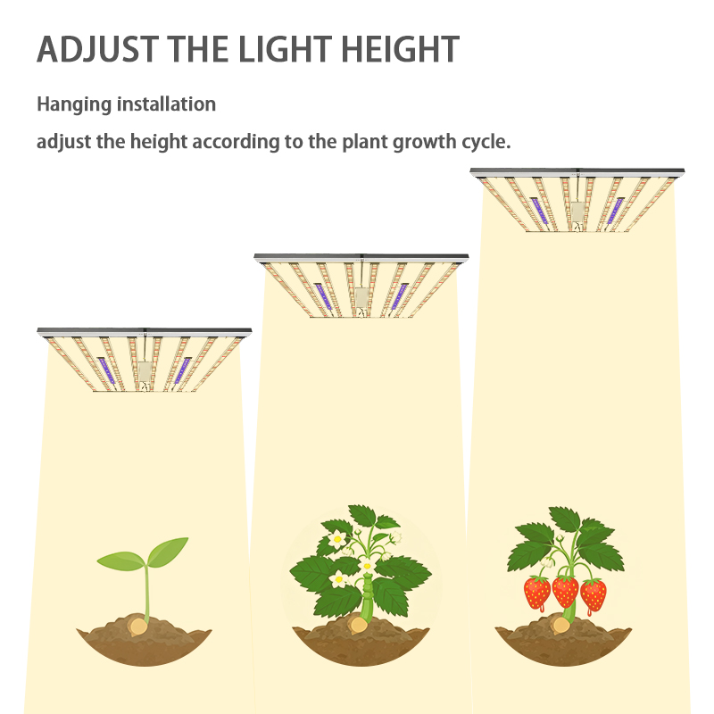 1000W LED Grow Light Full Spec - đánh giá và giá Led Grow Light 1000W Full Spectrum