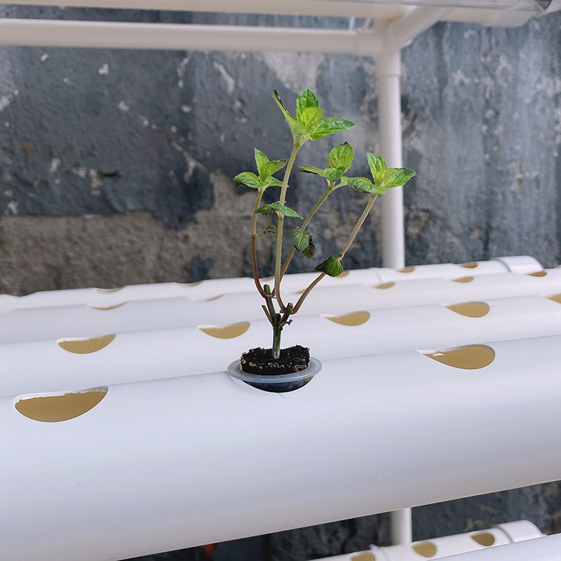 Hydroponic Vegetable Planter A - đánh giá và giá Hydroponic Growing System 36 Site