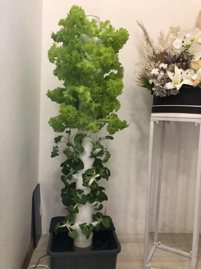 Vertical Hydroponic Grow Tower - đánh giá và giá Hydroponic Tower Garden