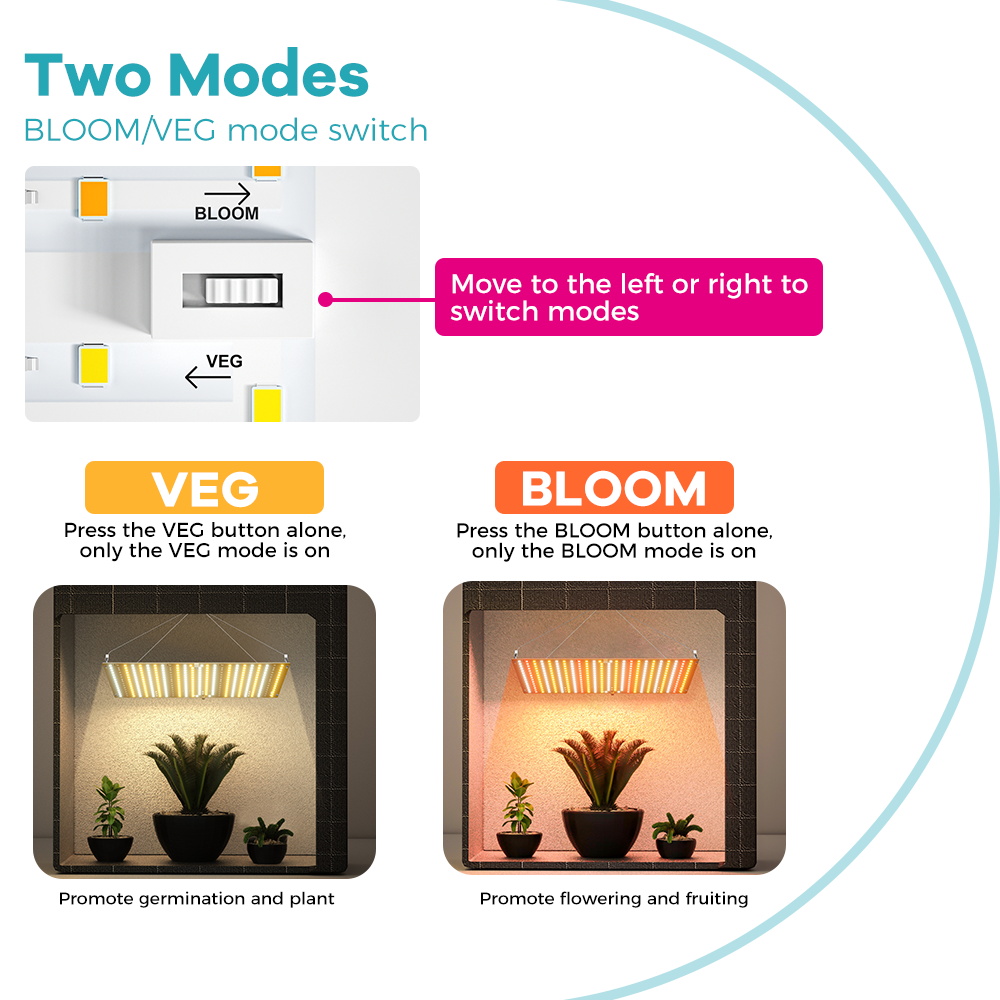 LED Plant Grow Light 800W/1000 - đánh giá và giá Led Grow Light 1000W Full Spectrum