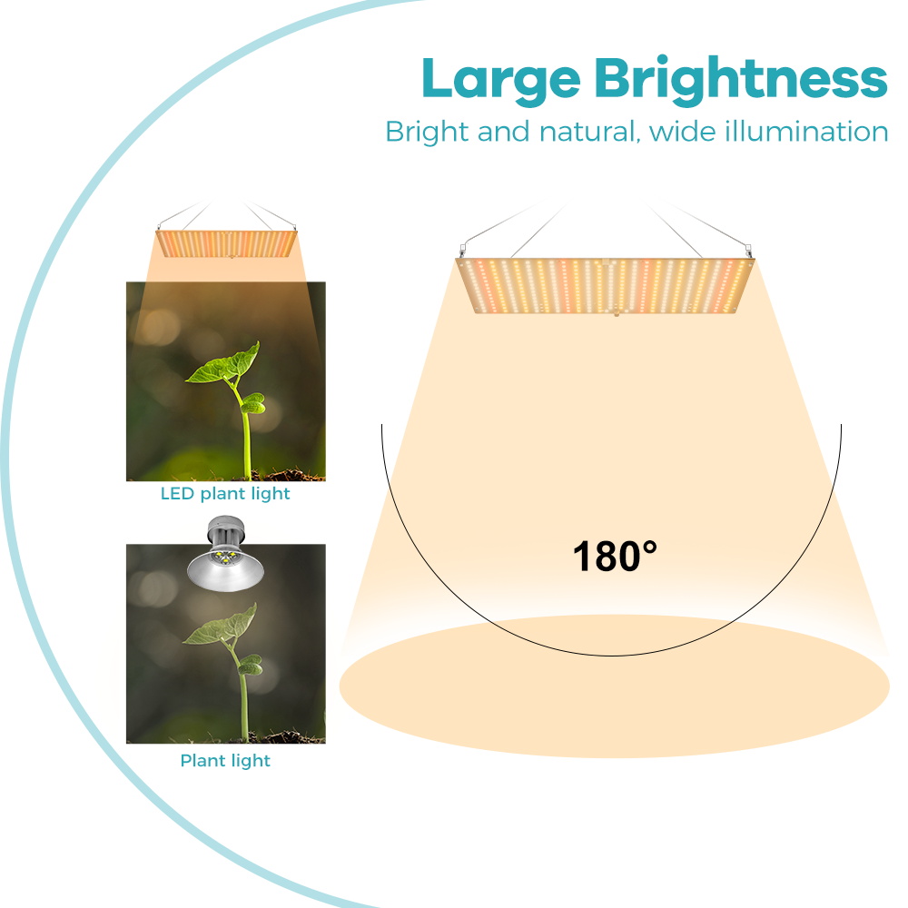 LED Plant Grow Light 800W/1000 - đánh giá và giá Led Grow Light 1000W Full Spectrum