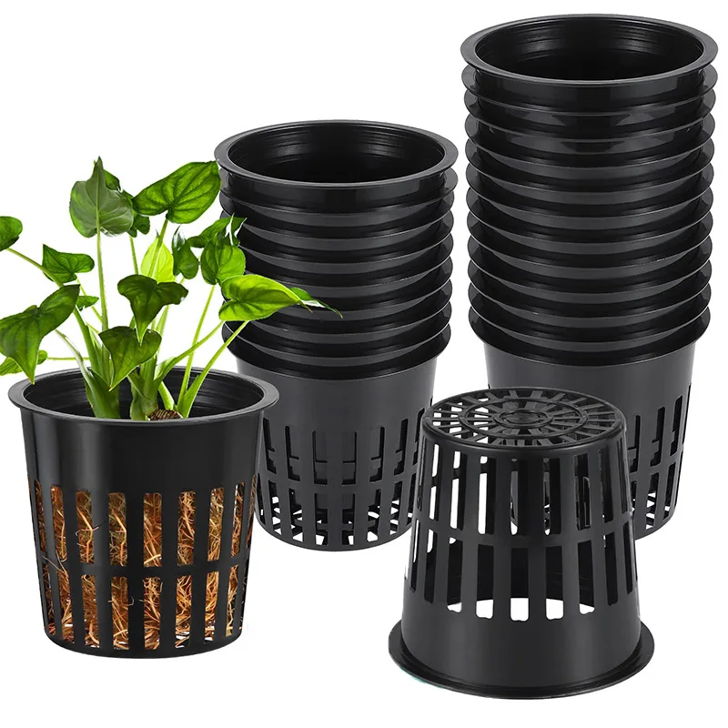 10PCS 3 Inch Hydroponics Cups  - đánh giá và giá Hydroponic Net Pots 3 Inch