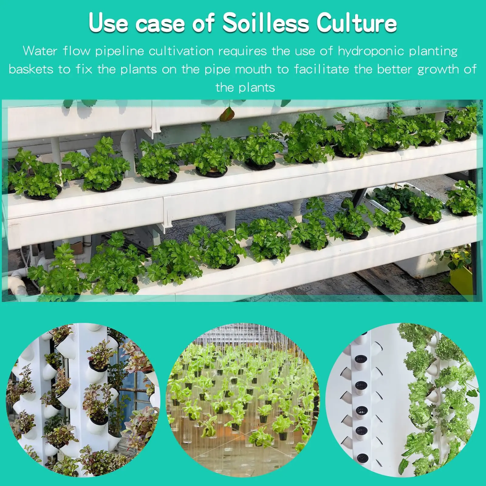 10PCS 3 Inch Hydroponics Cups  - đánh giá và giá Hydroponic Net Pots 3 Inch