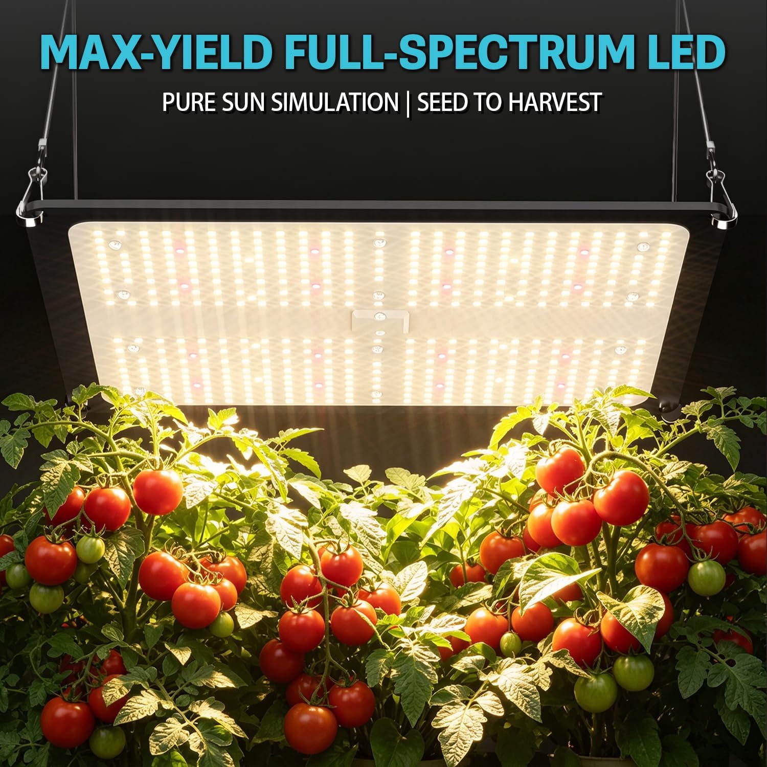 4x4 Complete Grow Tent Kit wit - đánh giá và giá Grow Tent 4X4 Mylar