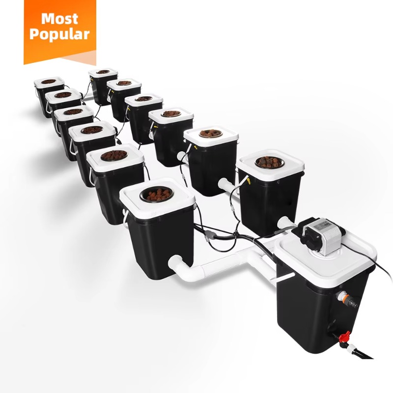 12-Bucket 5 Gallon Deep Water  - đánh giá và giá Deep Water Culture Kit