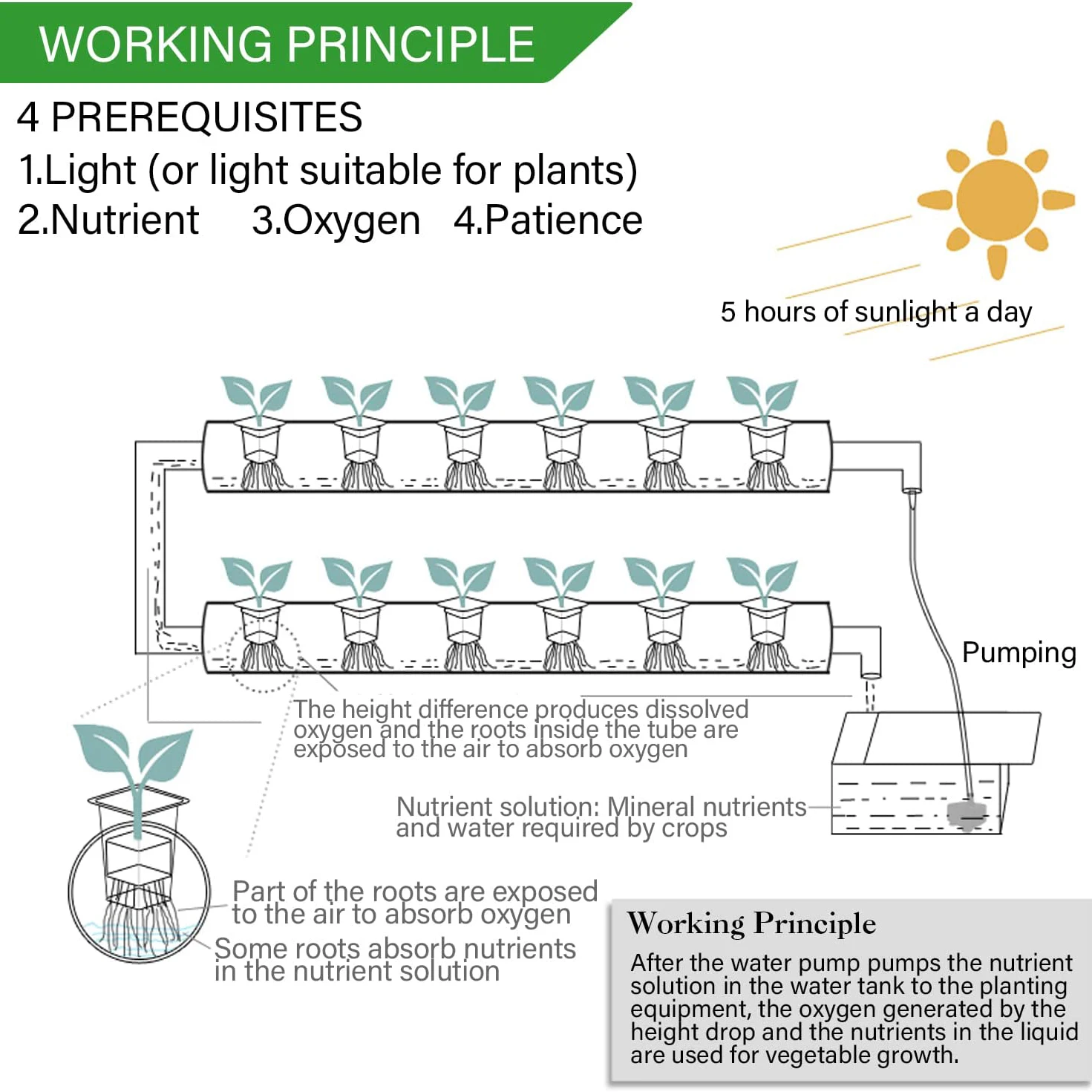 Hydroponics Growing System Kit - đánh giá và giá Hydroponic Growing System 36 Site