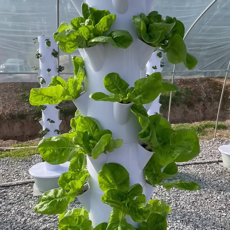 With Led Grow Light Space Tree - đánh giá và giá Hydroponic Tower Garden