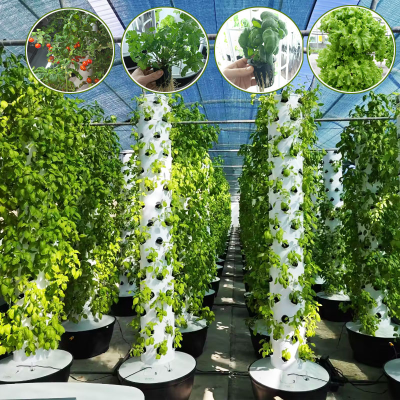 Lyine Aeroponic Vertical Grow  - đánh giá và giá Hydroponic Tower Garden