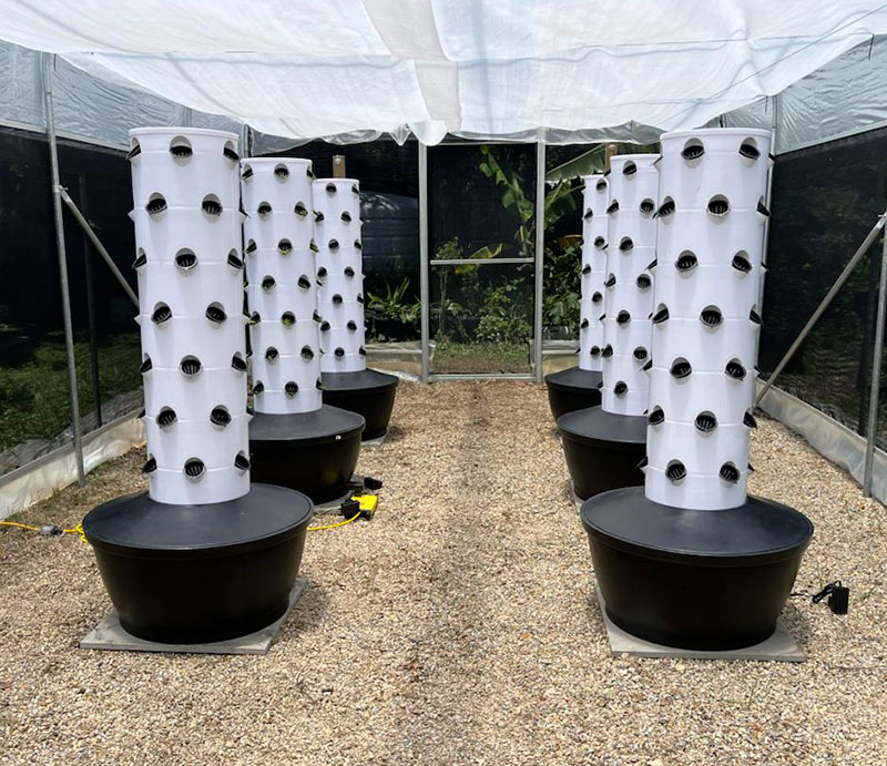 Lyine Aeroponic Vertical Grow  - đánh giá và giá Hydroponic Tower Garden